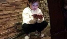 贾乃亮爆料包饺子视频播放,温馨日常曝光