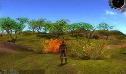 kok最新爆料,揭秘电竞圈惊人内幕